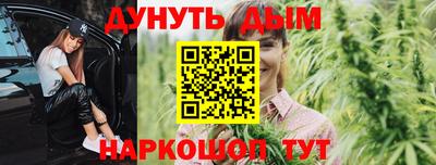 шишки Тверь