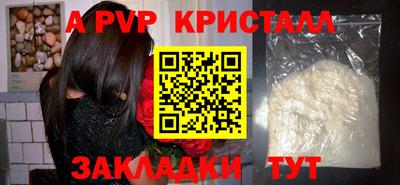 шишки Тверь